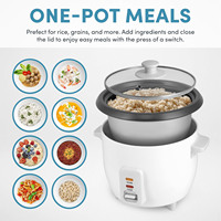 Cuiseur à riz intelligent de cuisine en gros promotionnel cuiseur à riz diabétique numérique grand cuiseur à riz antiadhésif HT15-01Z Oem électrique