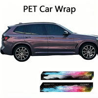 Film de protection TRG-FILM PET Phantom Chameleon Gray pour voiture – Support usine OEM ODM, logo personnalisé, taille de boîte, importateurs mondiaux