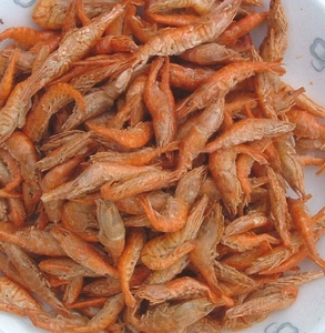 Alimento Seco para Reptiles y Aves: Camarones Secos, Tortugas, Salamandras, Ranas y Lagartos, Alto en Proteínas y Nutritivo - Product Image 4