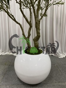 Olivier artificiel <span class=keywords><strong>Plante</strong></span> d'<span class=keywords><strong>intérieur</strong></span> élégante pour la décoration intérieure Olivier artificiel - Product Image 5