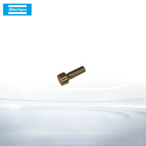 Válvula de Retención Atlas Copco 1613900501 para Compresor de Aire, Accesorio Estándar - Product Image 4