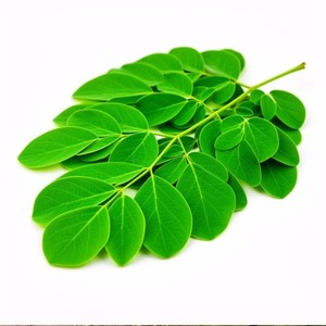 ผงใบมะรุมสกัดสมุนไพร สารสกัดเข้มข้น อาหารเสริมสุขภาพสีเขียว เกรดอาหาร วิตามินรวม ยี่ห้อ KMP - Product Image 2