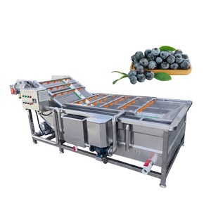 Máy rửa và làm sạch rau quả bằng ozone băng tải công nghiệp thương mại, giá nông trại - Product Image 2