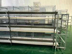 Cages à poulets de type <span class=keywords><strong>A</strong></span> à faible coût, 3 niveaux, conception manuelle pour les <span class=keywords><strong>petits</strong></span> éleveurs de volailles, fonctionnement manuel, cage d'élevage de volailles de type <span class=keywords><strong>A</strong></span> - Product Image 3