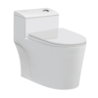 Ensemble de toilettes bidet en céramique à montage au sol avec chasse d'eau cyclonique à double chasse, sanitaire moderne pour villa et hôtel