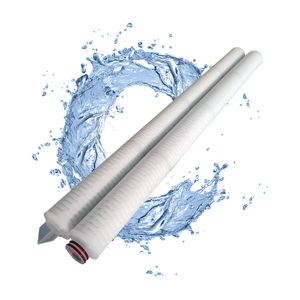PES Membrane 0.45 Micron Pleated <b>Filter</b> Cartridge For <b>Ro</b> Water Purifier - Product Image 1