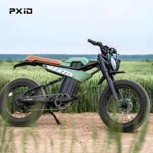 PXID MANTIS P6 Ebike 20 Inch Fat Tire Bicycle Mtb Bike 750W 1000W 1500W Electric Beach Bikes With 20 Ah 35ah Lithium Battery