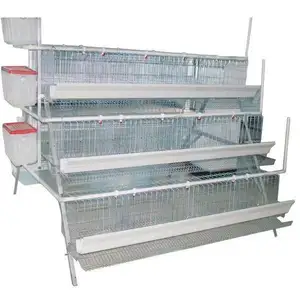 Automatic poultry feeding line system chicken house feed auger filling system no welding spot feed auger