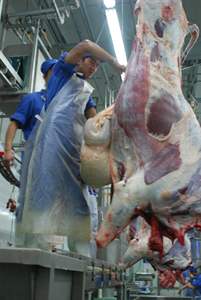 Machine automatique en acier inoxydable pour le retrait des peaux de bétail, équipement pour ligne de traitement de l'abattage de bovins - Product Image 2