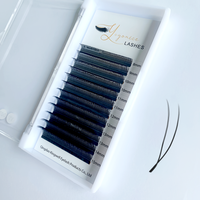 Extensions de cils YY en forme de U 2D/3D/4D/5D/6D, cils croisés parallèles CC D L M Curl, 0,07 mm