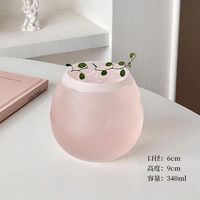 Verre rond givré ménage filles mignon Transparent tasses à boire boissons froides jus Latte tasses à café