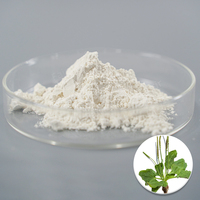 Poudre d'extrait de psyllium de qualité alimentaire pure, base soluble pour la pâtisserie sans gluten, service OEM/ODM disponible