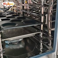 Four à vapeur commercial à dix couches pour rôtir le poulet, le canard et le cochon de lait, adapté aux restaurants, version bouton