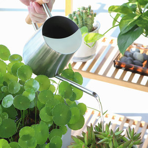 Arrosoir à long bec double orifice avec poignée en bois, débit d'eau réglable, capacité 1L/1.2L, portable, pour jardin domestique et vert - Product Image 3