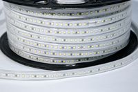 Tira de Luz LED de Alto Voltaje SMD2835 de 50M, IP65 Impermeable, 100lm/w, AC220V, Flexible, de PVC, con Control Remoto, Enchufe US/EU/UK