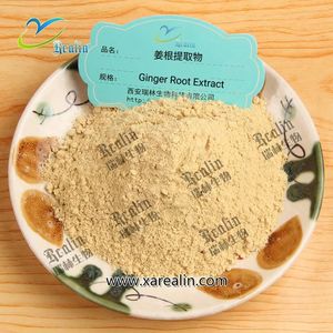 مسحوق أصفر زينغبيريس زينجيبر رهيزوما خلاصة جذور الزنجبيل الطبيعي - Product Image 2