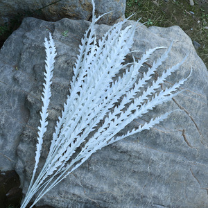 Plantes artificielles en herbe de la pampa, 1 mètre de long, décoration de mariage, fleurs séchées - Product Image 2