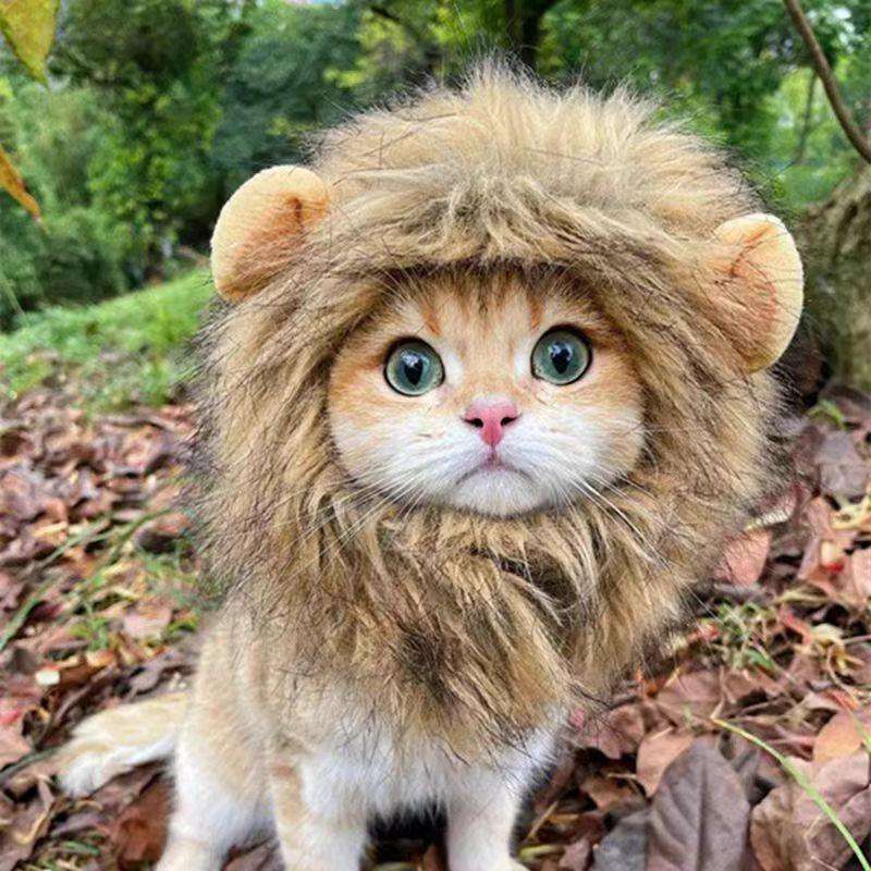 สีน้ำตาลเข้ม