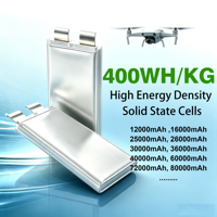 Cellules de batterie LiPo à semi-conducteurs Leadyo SSB3.7V10 400Wh/kg 3.7V 10000mAh 10C haute densité énergétique pour drone FPV UAV