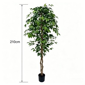 Directly Shipped Factory <b>Plastic</b> Banyan <b>Tree</b> Poles-Evergreen Decor for Valentine's Day & Mother's Day - Product Image 2