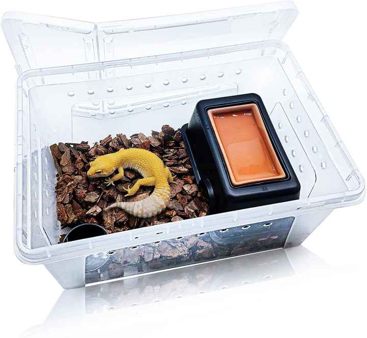 Scatola Incubazione Per Rettili Trasparente 2 Pezzi – Vassoio Per Uova Di Serpenti E Lucertole, 16,5x11x5,2 Cm