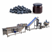 Volledig automatische tomatenjam productielijn, fruitpuree verwerkingsapparatuur, complete jamproductiefabriek