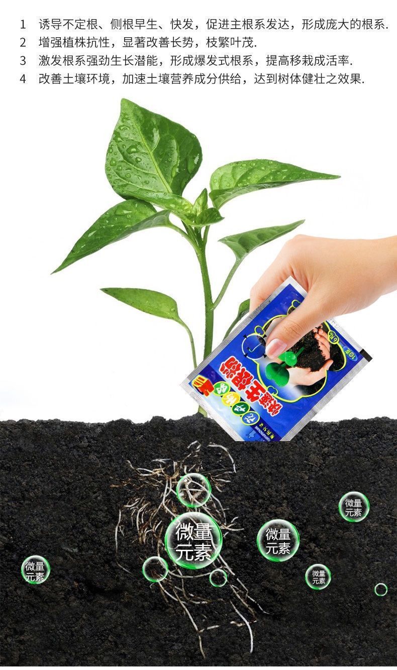 Dis Chem Root Powder How to Choose the Best Tree Root Powder: A Complete Buying Guide