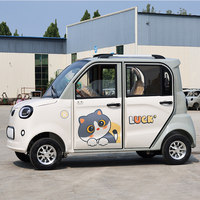 Voiture électrique pure 4 portes 4 places 4 roues pour femme adulte, batterie 30 kWh, vitesse maximale 45 km/h, couleur personnalisable, usage extérieur