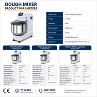 Mélangeur à pâte électrique de cuisine, machine à mélanger la farine, double vitesse, mélangeur spiral en acier inoxydable pour la fabrication de pain commercial