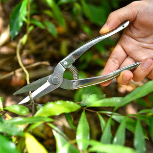Tijeras de podar de acero inoxidable Luoding, herramienta manual de jardín con mango negro para recortar árboles frutales - Product Image 5