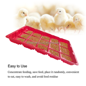 Système d'alimentation pour poulets de ferme avicole QA, ligne d'alimentation pour poules pondeuses et poulets de chair, plaque d'alimentation, bac d'alimentation pour poulets - Product Image 4
