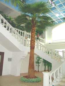Pianta di Palma Realistica 6m per Decorazione Interna di Banche, Sale d'Attesa e Aree Servizio Clienti - Product Image 5