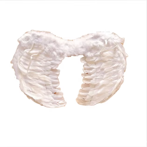 Decorazioni festa Cosplay carnevale ali <span class=keywords><strong>d</strong></span>'<span class=keywords><strong>angelo</strong></span> Halloween di alta qualità <span class=keywords><strong>piuma</strong></span> nera di medie dimensioni Opp Bag decorazioni per le feste - Product Image 5