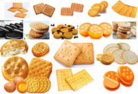 200 kg/h Automatique Sandwich Dur Ligne de Production de Biscuits