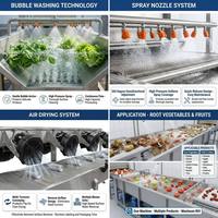 Machine de lavage à bulles automatique haute performance en SUS304 pour le nettoyage des fruits et légumes, séchage à l'air, ligne de production