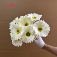 DC234 Grosir Bunga Gerbera Daisy Buatan Multi Warna PU untuk Dekorasi Pernikahan, Rumah, Hotel
