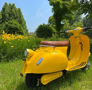 Scooters pour adultes certifiés CEE <span class=keywords><strong>rétro</strong></span> de haute qualité en gros 1200W-3000W Motos de vacances romaines Véhicules électriques de style vintage - Product Image 3