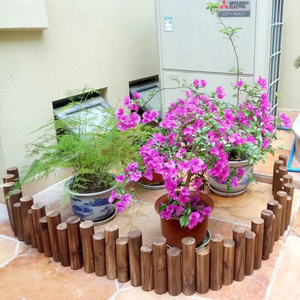 Estacas de madera carbonizadas Wanyuan para jardín, resistentes a la corrosión, para huertos de verduras. - Product Image 1