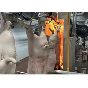 Peralatan Abattoir babi kualitas terbaik mesin pemotongan babi konveyor pemrosesan turun untuk garis jagal babi