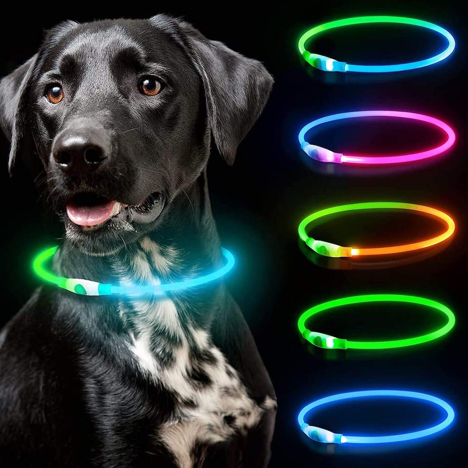 Dual RGB LED Waterproof Dog Collar with Flashing Light