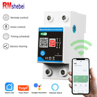 RMshebei 63A Maison Intelligente Mini Smart Wifi Disjoncteur Rail DIN DIY Commutateur Intelligent Minuterie Peut être vu sur TUYA APP
