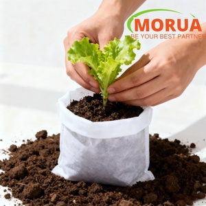 Sacs <span class=keywords><strong>de</strong></span> culture respirants en tissu non tissé Morua pour pépinière - Product Image 2