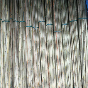 Large Size 3 Meter <strong>Bamboo</strong> Sticks <strong>Cane</strong> Poles for Plant Construction - Product Image 6