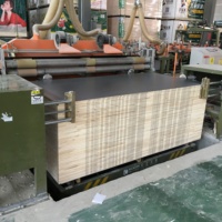 Papan Blok Inti Malacca Berlapis Melamin Langsung dari Pabrik 18mm Papan Blok Melamin Kelas Furnitur untuk Kabinet