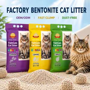 Arena Sanitaria para Gatos de Bentonita Más Vendida - Arena para Gatos de Fábrica - Product Image 1