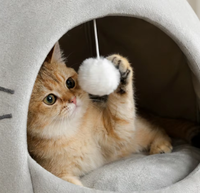 Villa pour chat en peluche en forme d'œuf, en coton haute résilience, avec base antidérapante, coussin amovible, respirante, abri et jouet avec balle, pour chat d'intérieur
