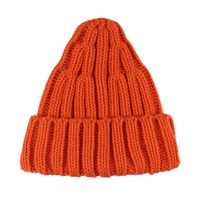 Bonnet tricoté coloré à bord plié couleur contrastée acrylique tissé chapeaux tricotés avec bonnet à pompon en fausse fourrure