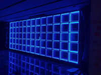 Heißer Verkauf: Exquisiter Spiegel-3D-Magnet-LED-Tanzboden mit SMD RGB 5050 LEDs und DMX512-Steuerung für Hochzeiten & Partys im Freien