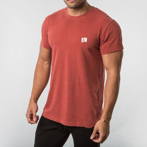 <span class=keywords><strong>OEM</strong></span>厂家95% 棉5% 弹性男式运动T恤 - Product Image 2