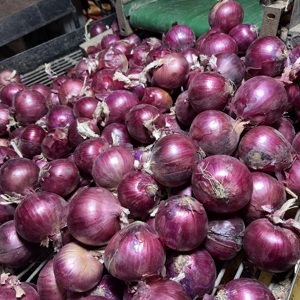 Cebollas Rojas Frescas de Gansu, Tamaño de 8 a 10 cm, Empacadas <span class=keywords><strong>en</strong></span> Bolsas de Malla de 25 kg, Suministro a Granel para Exportación a Mercados Mayoristas <span class=keywords><strong>en</strong></span> Ghana - Product Image 2